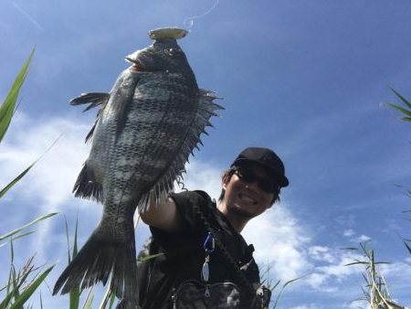 チニング~HAPPY RIDE ON!~